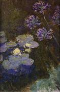 Claude Monet Water Lilies and Agapanthus Lilies china oil painting artist